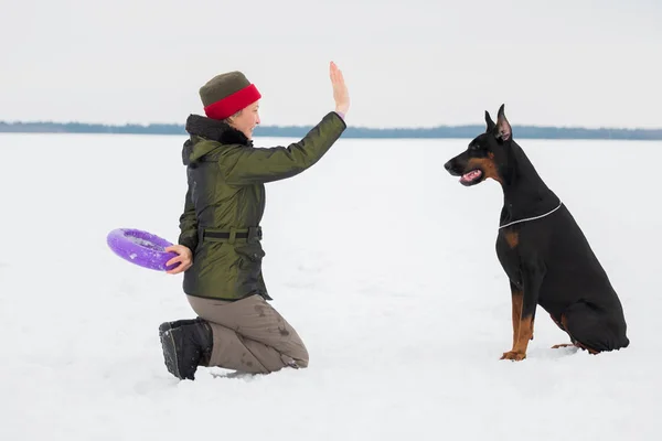 Entrenar y jugar con perros Dobermans en un campo cubierto de nieve —  Fotos de Stock