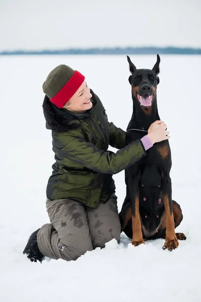 Entrenar y jugar con perros Dobermans en un campo cubierto de nieve —  Fotos de Stock