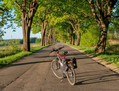 Ağaçları ile yolda bisiklet