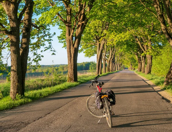 Fahrrad auf der Straße mit Bäumen — Stockfoto