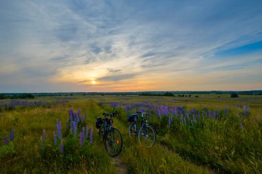 Günbatımında bir çayırda iki bisiklet