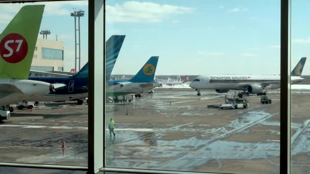 Hora do dia Domodedovo tráfego internacional do aeroporto — Vídeo de Stock