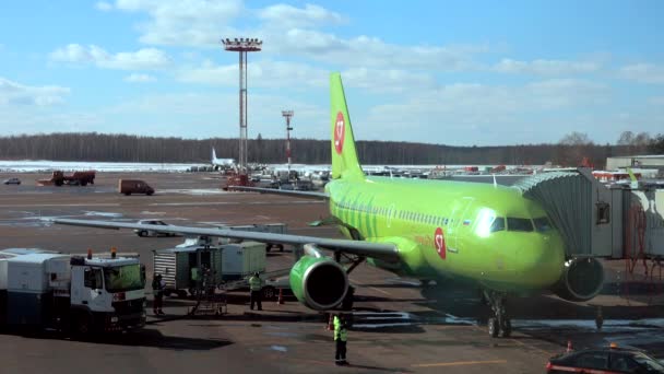 Orario diurno Traffico aeroportuale internazionale Domodedovo — Video Stock