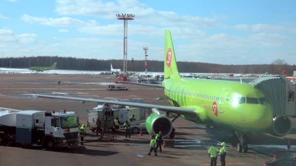 Ημέρα Διεθνές Αεροδρόμιο Domodedovo κυκλοφορία — Αρχείο Βίντεο