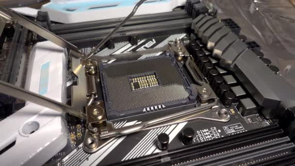 Man installeren nieuwe processor op het moederbord — Stockvideo