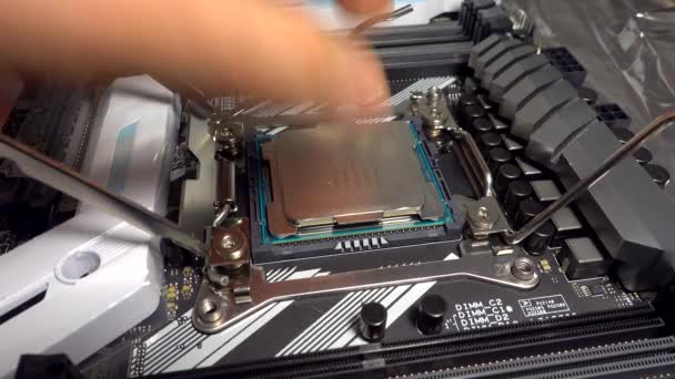 Hombre instalando un nuevo procesador en la placa base — Vídeo de stock