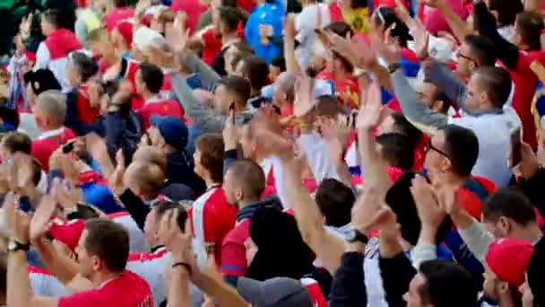 Τους οπαδούς του ποδοσφαίρου ομάδες υποστήριξης για αυτόν τον αγώνα μεταξύ της Σερβίας και Ελβετία — Αρχείο Βίντεο
