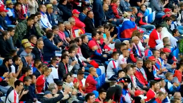I tifosi di calcio supportano le squadre nella partita tra Serbia e Svizzera — Video Stock