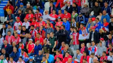Sırbistan ve İsviçre maçı takım futbol taraftarları destek