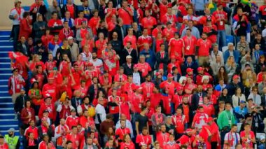 Sırbistan ve İsviçre maçı takım futbol taraftarları destek