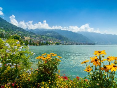 İsviçre Montreux şehir peyzaj