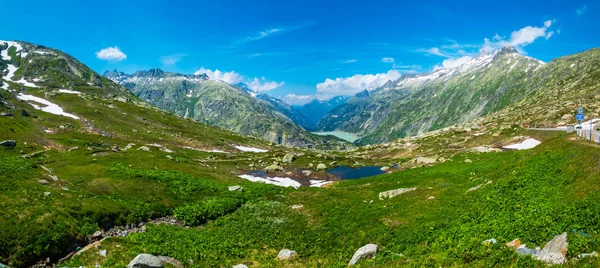 Sommarlandskap av Schweiz natur nära Grimsel pass — Stockfoto
