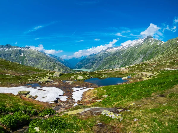 Nyári táj Svájc jellegű Grimsel hágó közelében — Stock Fotó