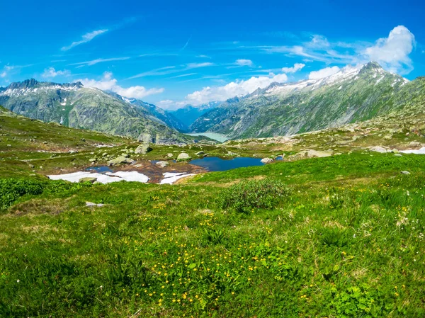 Sommarlandskap av Schweiz natur nära Grimsel pass — Stockfoto