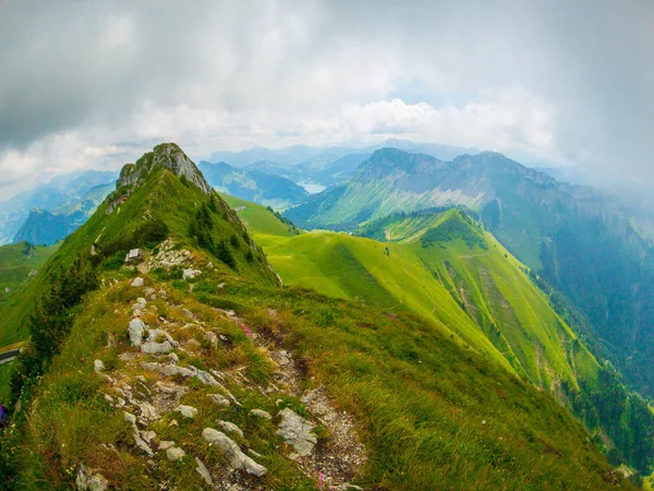 Paisaje de verano de Suiza naturaleza en Rochers-de-Naye —  Fotos de Stock