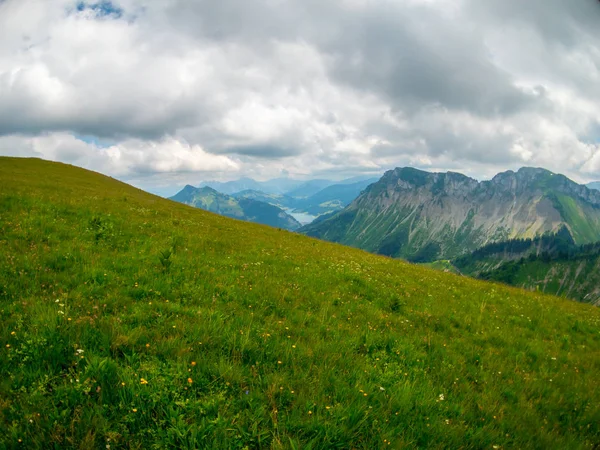Paisagem de verão da Suíça natureza em Rochers-de-Naye — Fotografia de Stock