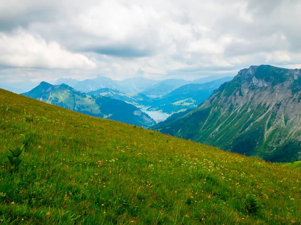 Sommarlandskap av Schweiz natur till Rochers-de-Naye — Stockfoto