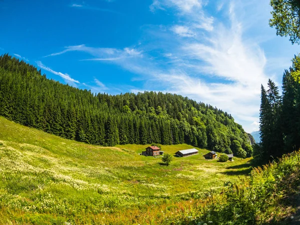 Zomer berglandschap van huis in Zwitserland — Stockfoto