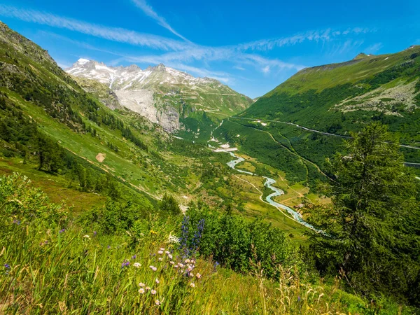 Летний пейзаж Швейцарии — стоковое фото