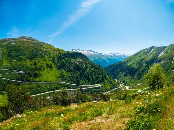 Paysage d'été de la Suisse montagne nature — Photo