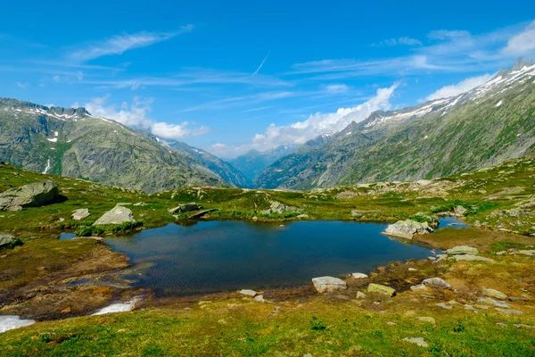 Paesaggio estivo della Svizzera natura vicino al passo di Grimsel — Foto Stock