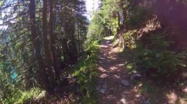Orta yaş erkek İsviçre dağlarında hiking