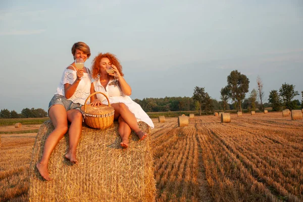 Dua wanita menarik memiliki piknik minum anggur putih dan bersenang-senang — Stok Foto