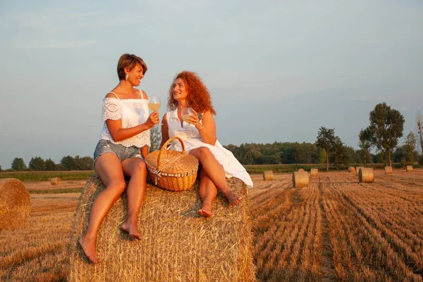 Két vonzó nők piknikezni inni a fehér szőlő- és szórakozás — Stock Fotó