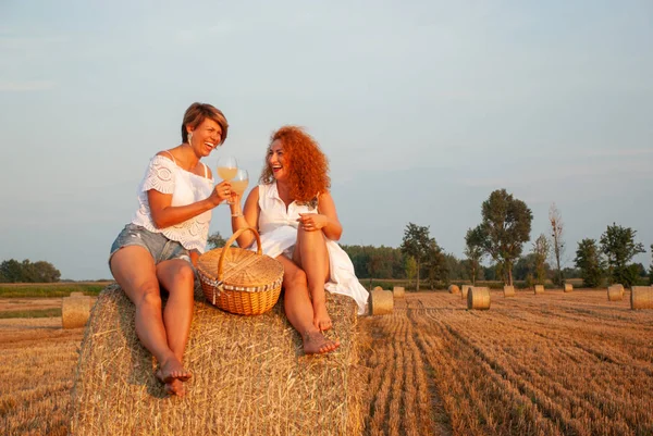 两个有魅力的女人有野餐喝白藤和乐趣 — 图库照片