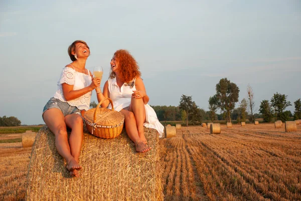 Due donne attraenti hanno picnic bere vite bianca e divertirsi — Foto Stock