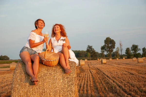 Dua wanita menarik memiliki piknik minum anggur putih dan bersenang-senang — Stok Foto