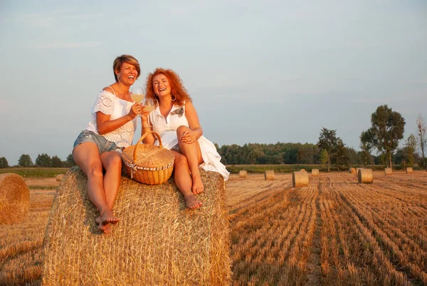 Twee mooie vrouwen hebben picnic drink witte wijnstok en plezier — Stockfoto