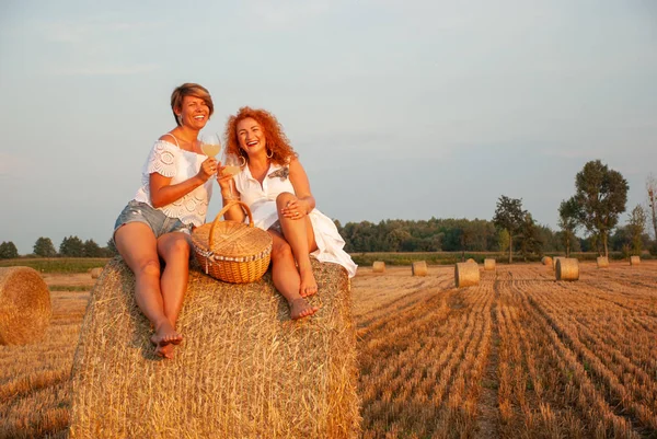 Twee mooie vrouwen hebben picnic drink witte wijnstok en plezier — Stockfoto