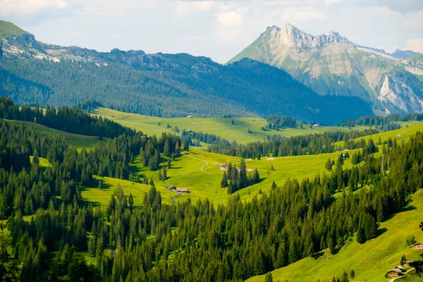 スイス連邦共和国農村田舎の夏の風景 — ストック写真