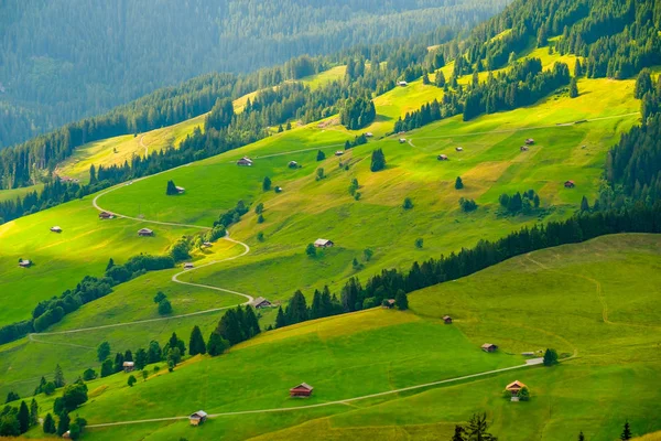 Letní krajina ze Švýcarska do venkovské krajiny — Stock fotografie