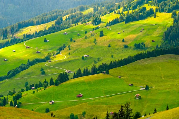 Літній краєвид стороні сільських країни Швейцарія — стокове фото
