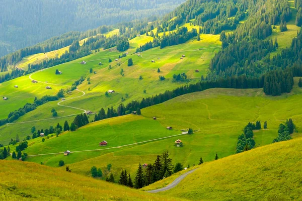 Letní krajina ze Švýcarska do venkovské krajiny — Stock fotografie