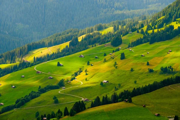 Paisaje de verano de Suiza campo rural — Foto de Stock