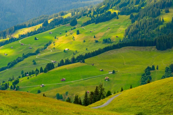 Paesaggio estivo della Svizzera campagna rurale — Foto Stock