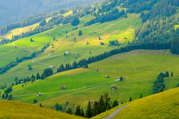 Letní krajina ze Švýcarska do venkovské krajiny — Stock fotografie