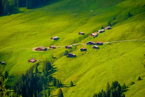 Paisaje de verano de Suiza campo rural — Foto de Stock