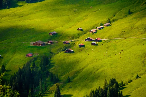 Paisagem de verão da Suíça lado rural — Fotografia de Stock