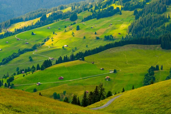 Paesaggio estivo della Svizzera campagna rurale — Foto Stock