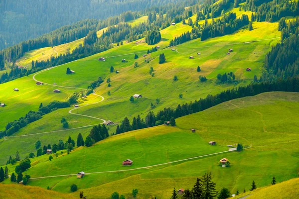 Летний пейзаж сельской местности Швейцарии — стоковое фото