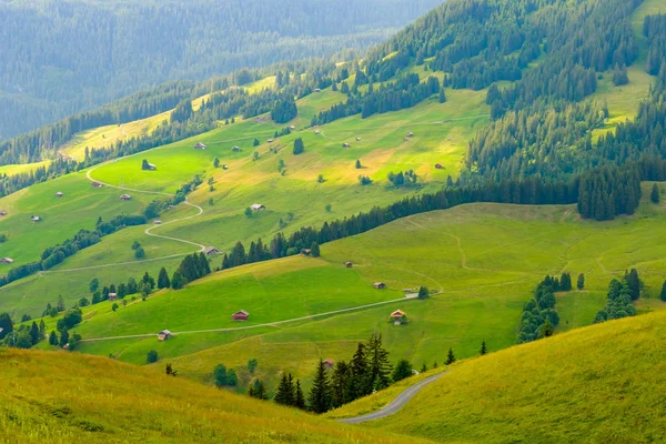 Paesaggio estivo della Svizzera campagna rurale — Foto Stock