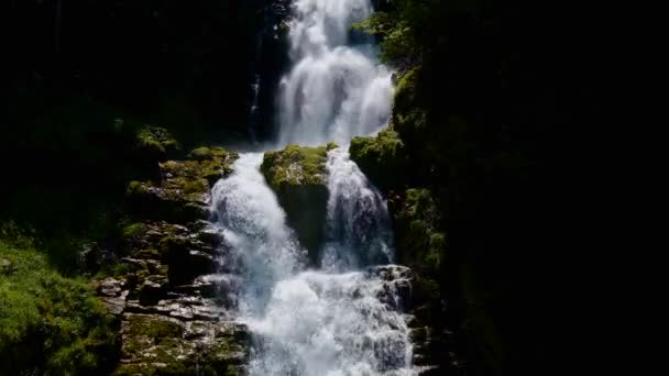 Vízesés az erdőben nyáron — Stock videók