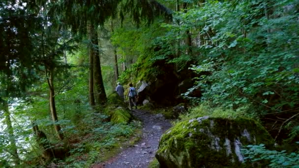 Senderismo en pareja en Suiza bosque — Vídeo de stock