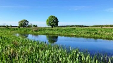 Gölün yakınında yeşil ağaçlı huzurlu yaz manzara