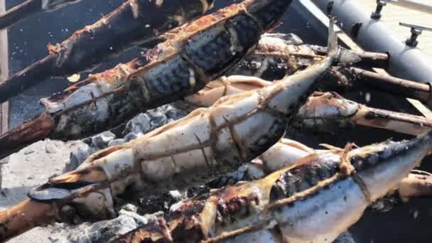 El pescado se fuma con humo caliente — Vídeo de stock