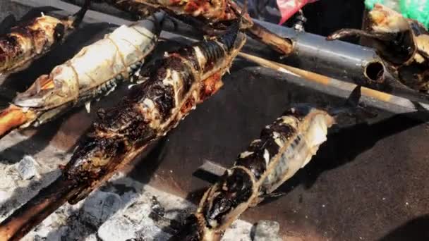 Balık Bir Smokehouse Sıcak Duman Füme — Stok video